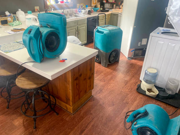 Best Basement water damage restoration  in Stansbury Park, UT