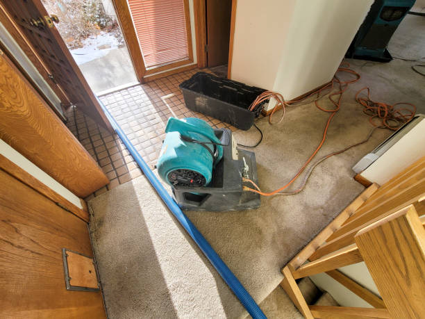 Best 24/7 water damage repair  in Stansbury Park, UT