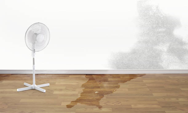 Best Emergency water damage restoration  in Stansbury Park, UT