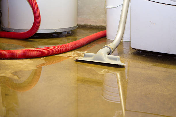 Best Sewage cleanup and water damage restoration  in Stansbury Park, UT
