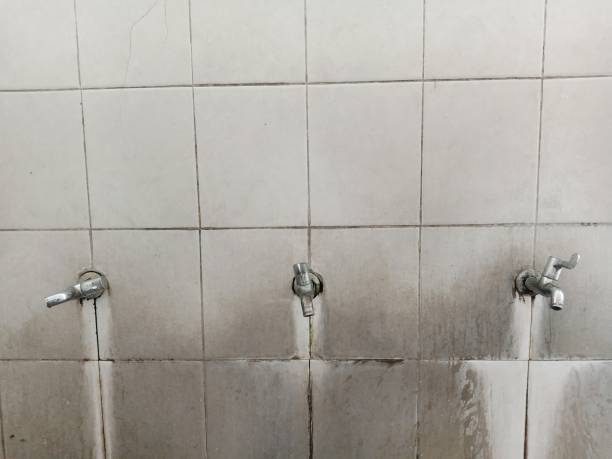 Best Local water damage restoration  in Stansbury Park, UT
