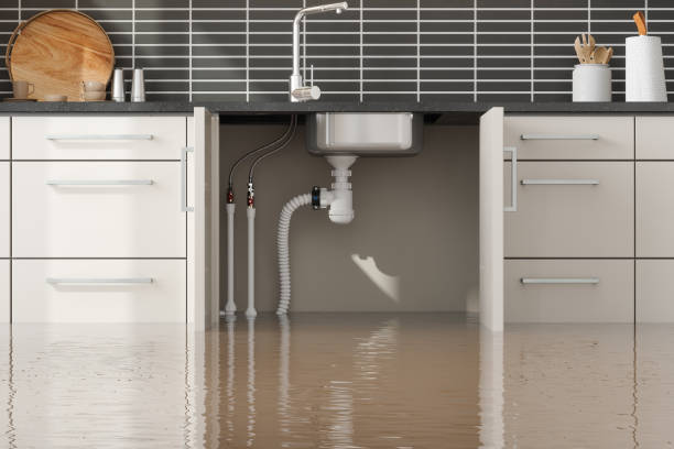 Best Water damage restoration near me  in Stansbury Park, UT